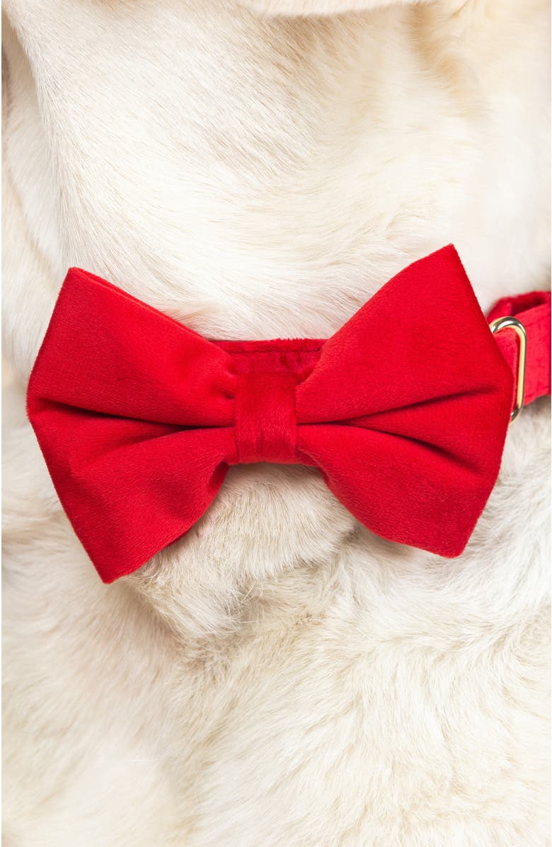 Pink Papyrus Blaze Bow Tie, Alternate, color, Blaze