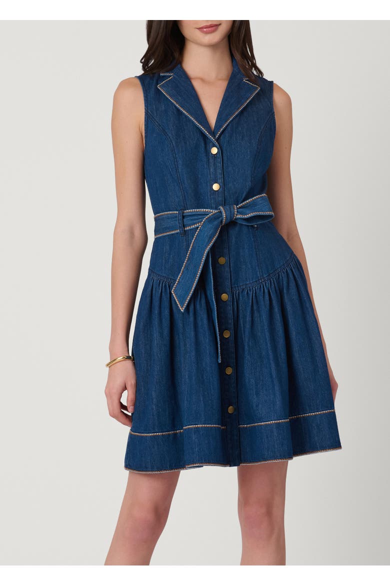 Embroidered Denim Mae Dress, Main, color, Denim