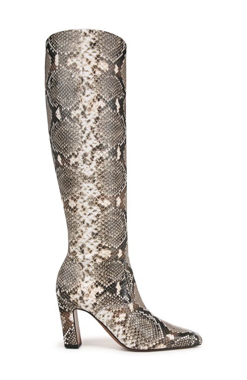 Franco Sarto Bowman Snakeskin Embossed Knee High Boot In Black