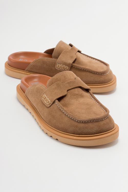 Forever & Always Shoes Laven Suede Leather Clogs In Cognac Suede Leather