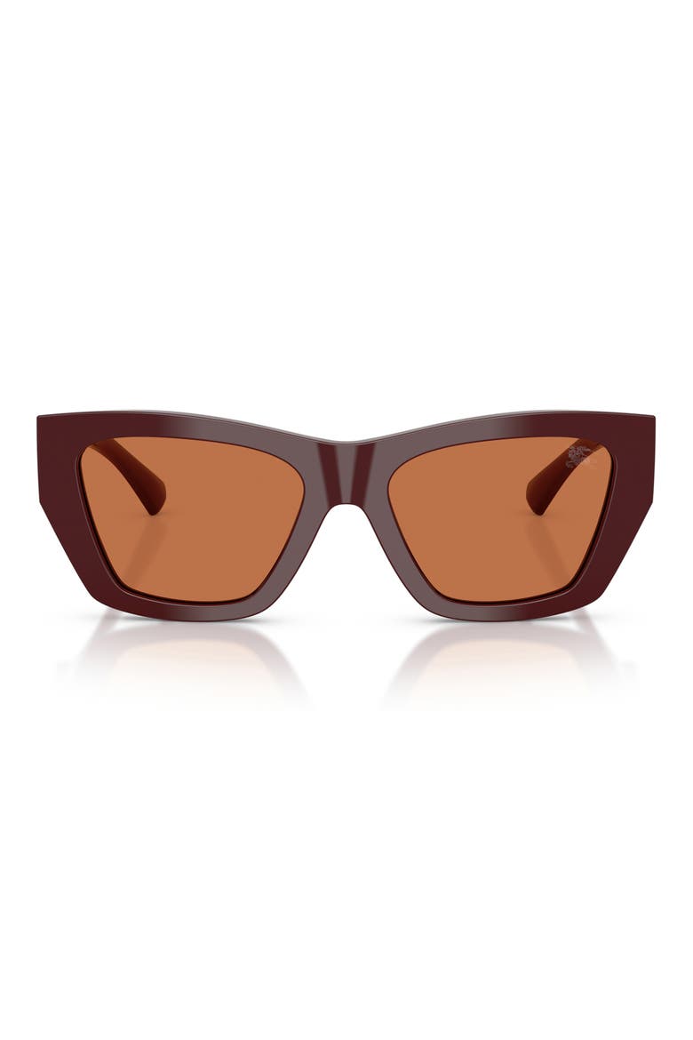 54mm Cat Eye Sunglasses, Main, color, BORDEAUX / BROWN