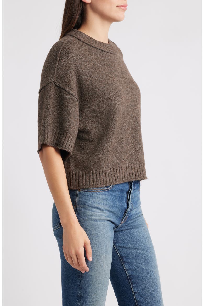 Broome Crop Short Sleeve Sweater, Alternate, color, EARTH