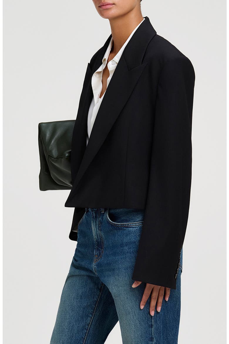 Cass Cropped Blazer, Alternate, color, BLACK