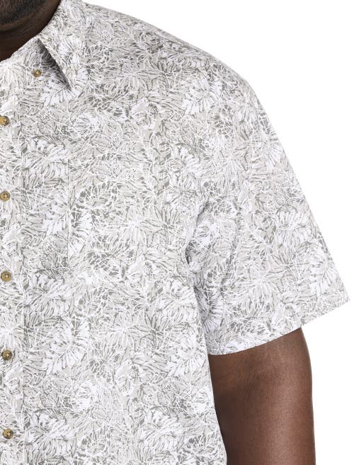 Harbor Bay By Dxl Big & Tall Easy-care Leaf Print Sport Shirt In Grey