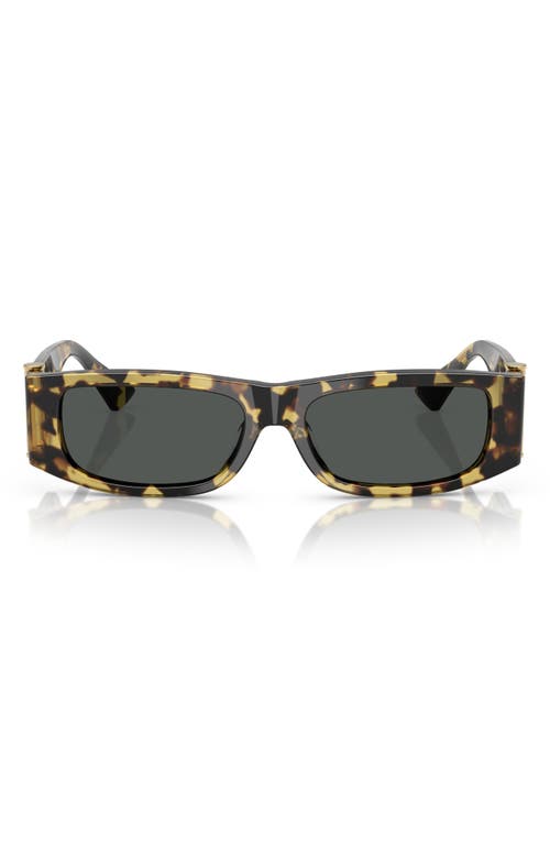 Versace 55mm Rectangular Sunglasses In Havana
