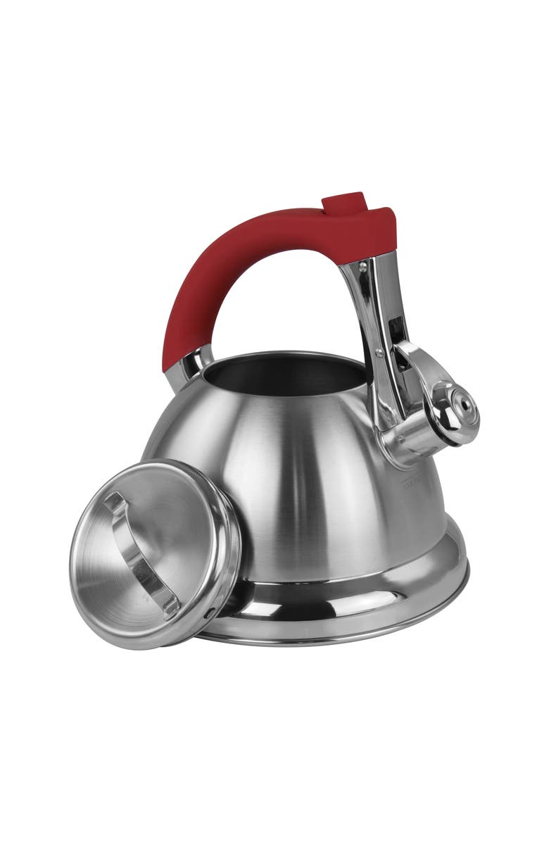 Mr. Coffee 1.8 quart Stainless Steel Whistling Tea Kettle, Alternate, color, Metallic Silver