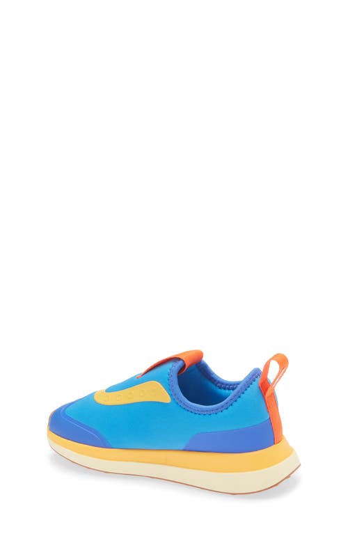 Native Shoes Robbie Dash Slip-on Sneaker In Blue