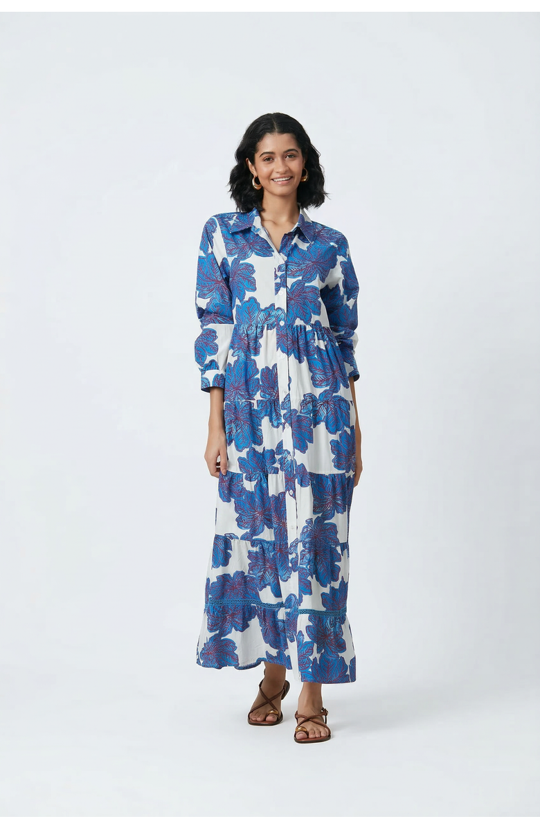 Ro's Garden Cc Jinette Maxi Dress, Main, color, Blue Eenika