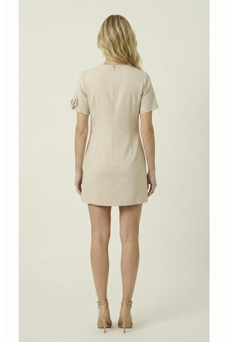 Floral Appliqué Mini Shift Dress, Alternate, color, Pale Beige