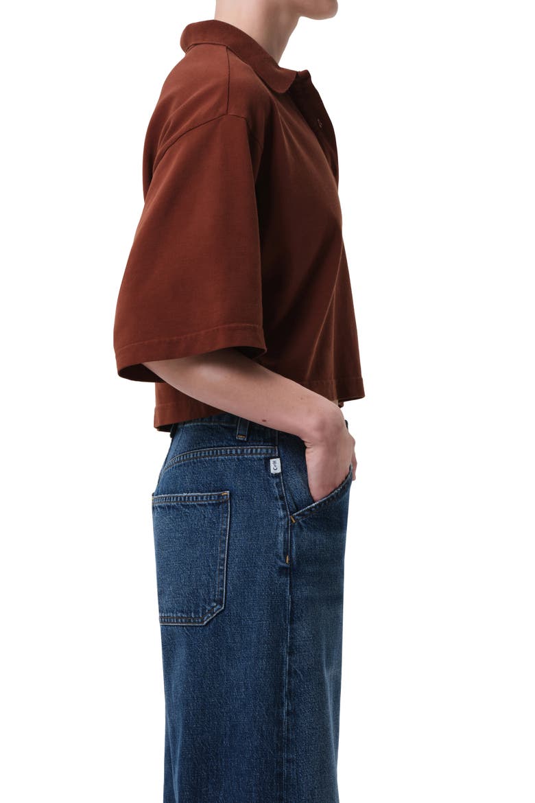 Lowen Oversize Cotton Polo, Alternate, color, CHAI MD BROWN