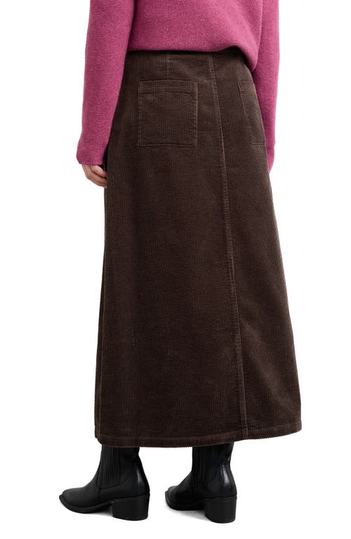 Seasalt Cornwall Window Wren Organic Cotton Corduroy Midi Skirt In Brown