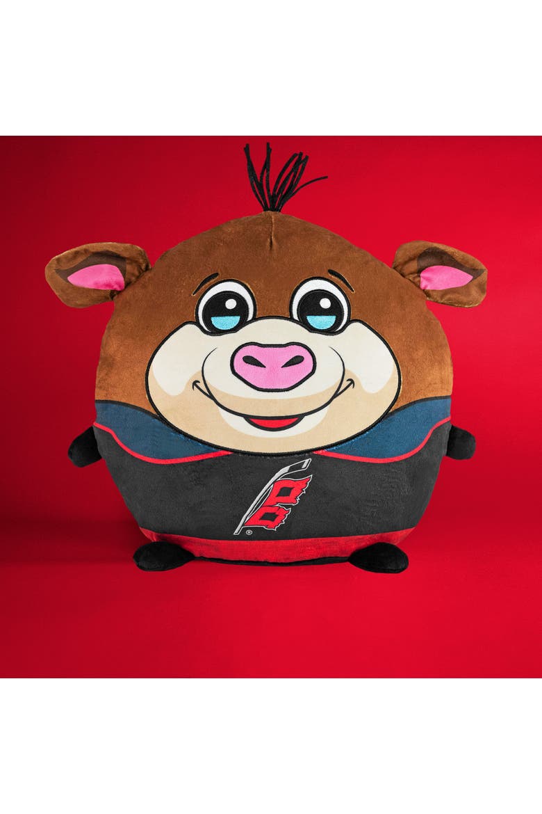 Carolina Hurricanes Kiri Cloud Plushie, Alternate, color, None