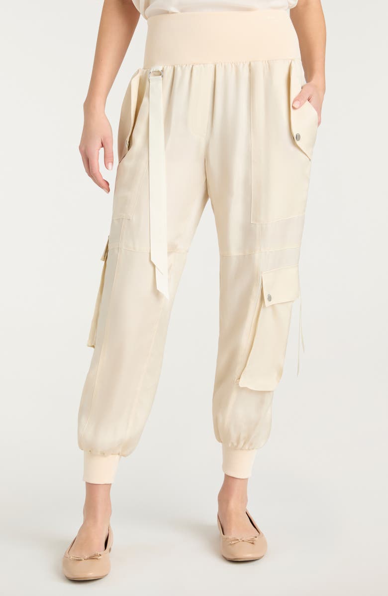 Cinq à Sept Harmony Side Snap Pants, Main, color, Light Plaster