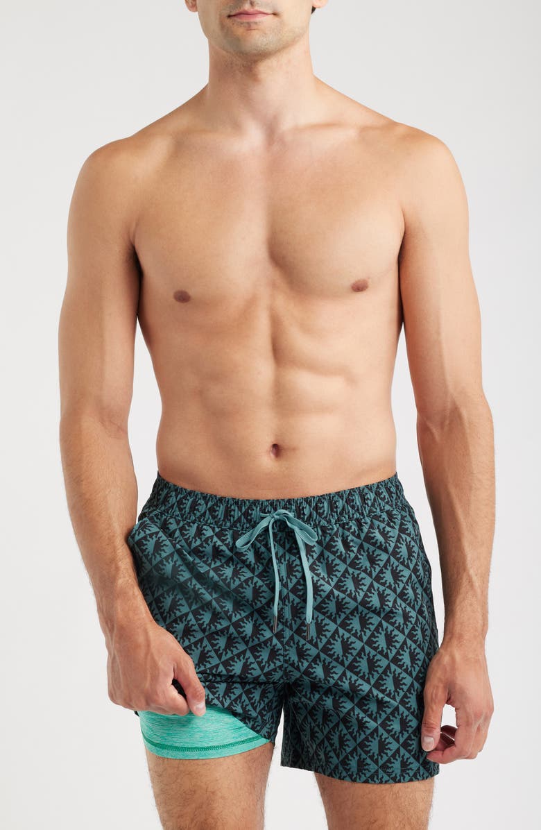 Fair Harbor The Bungalow Sun Print Water Repellent Swim Trunks, Alternate, color, Seapine Suns