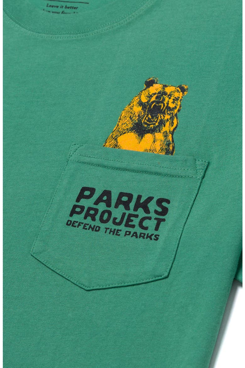 Defend the Parks Bear Pocket Tee, Alternate, color, Sage