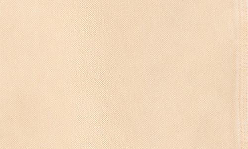 Sky High Farm Workwear Gender Inclusive Canvas Carpenter Pants In Neutral