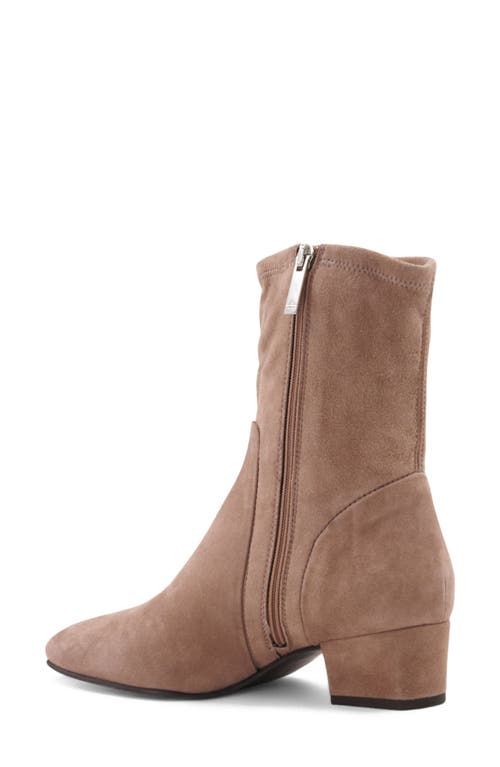 Aquatalia Stassi Water Repellent Bootie In Brown