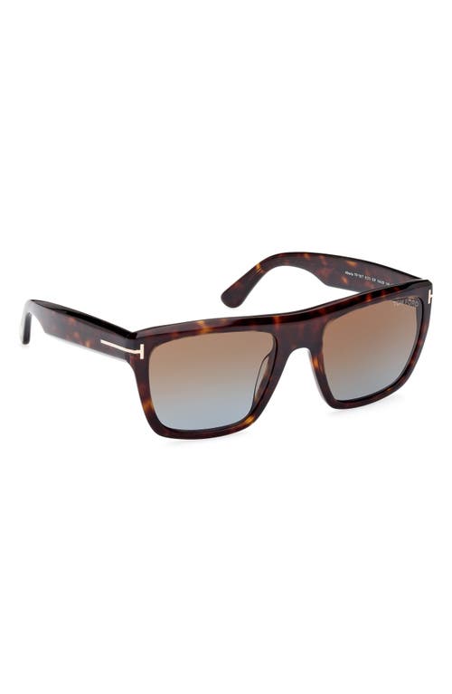 Tom Ford Alberto 55mm Square Sunglasses
