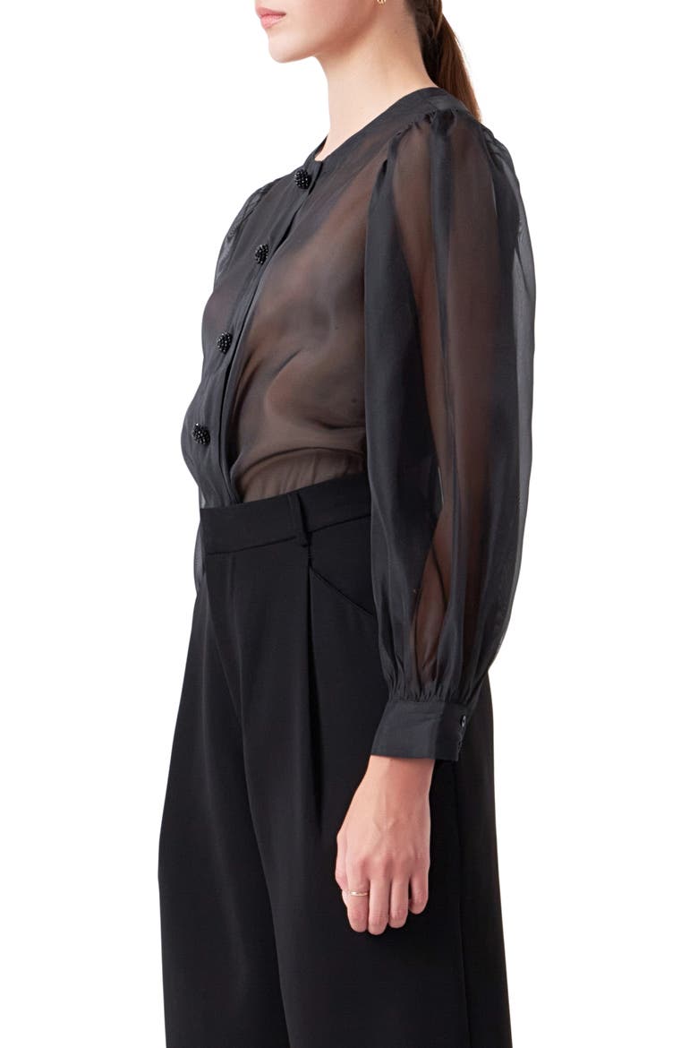 Sheer Organza Top, Alternate, color, BLACK