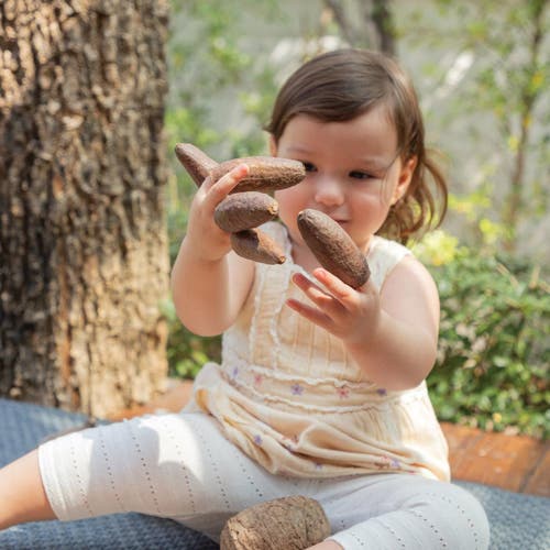 Kaplan Early Learning Company Nature's Geometry Toddler Loose Parts Stem Kit In Sand
