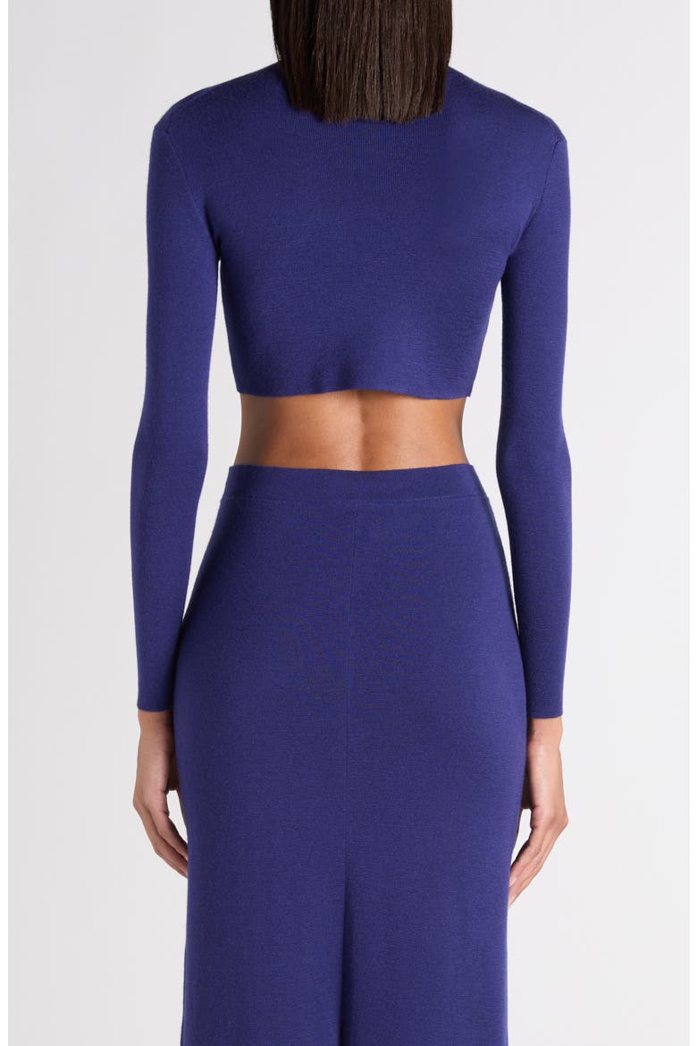 Fitted Long Sleeve Cashmere Crop Sweater, Alternate, color, QUARZ BLUE