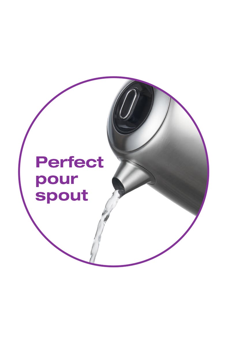 Salton Stainless Steel Digital Kettle - Variable Temperature, Alternate, color, Silver