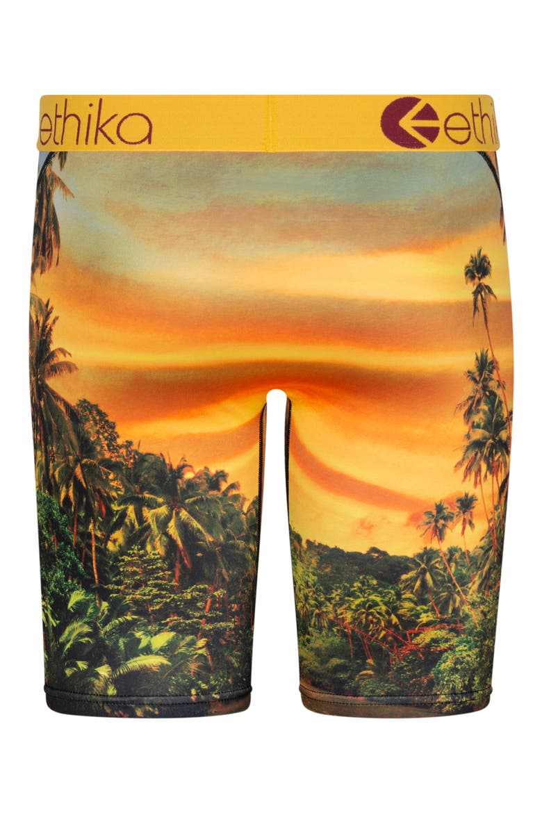 Kids' Easy Tiger Boxer Briefs, Alternate, color, ASSORTED