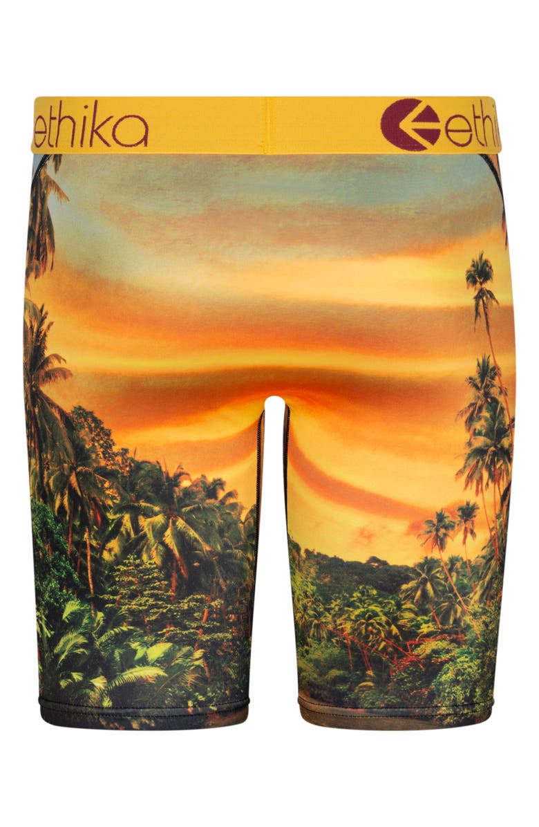 Ethika Kids' Easy Tiger Boxer Briefs, Alternate, color,