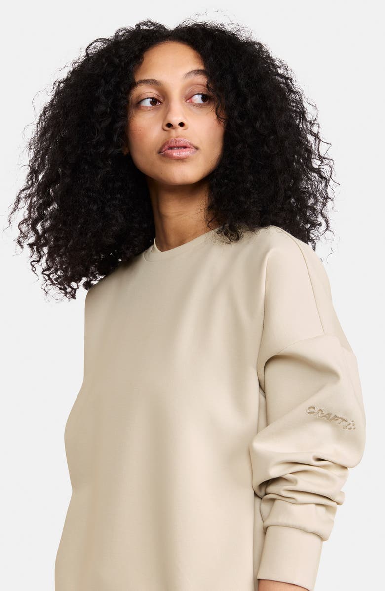 Craft ADV Join Jersey Sweatshirt, Alternate, color, Plaster