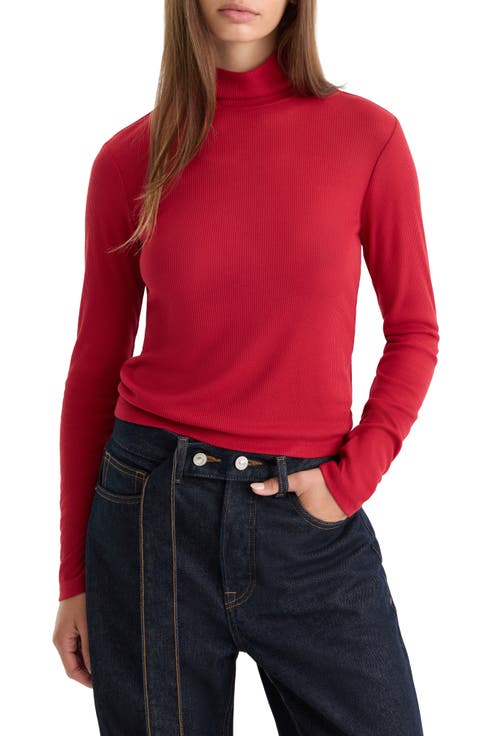 Sheer Rib Turtleneck Sweater