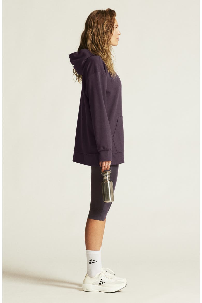 ADV Join Jersey Hooded Pullover, Alternate, color, DARK PLUM