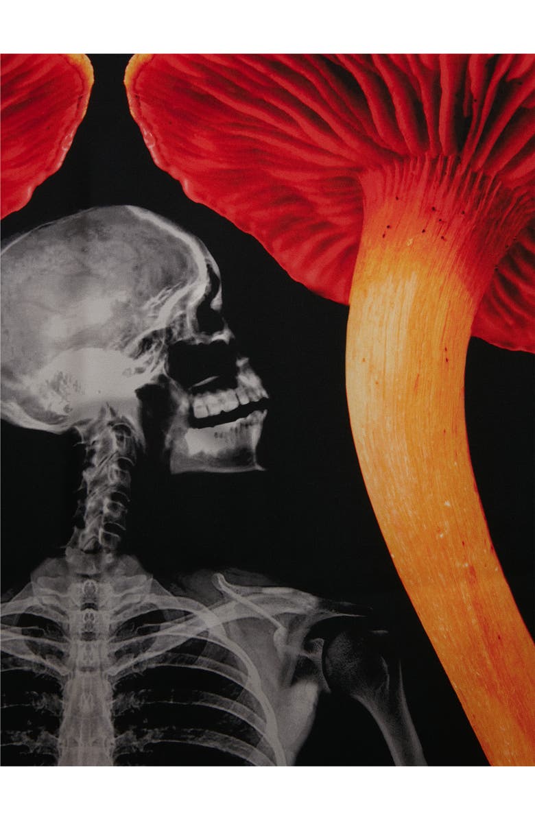 McQueen Mushroom Skeleton Silk Scarf, Alternate, color,