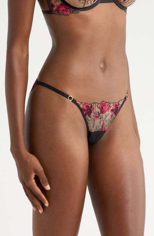 Bluebella Calista Embroidered Mesh Briefs In Multi