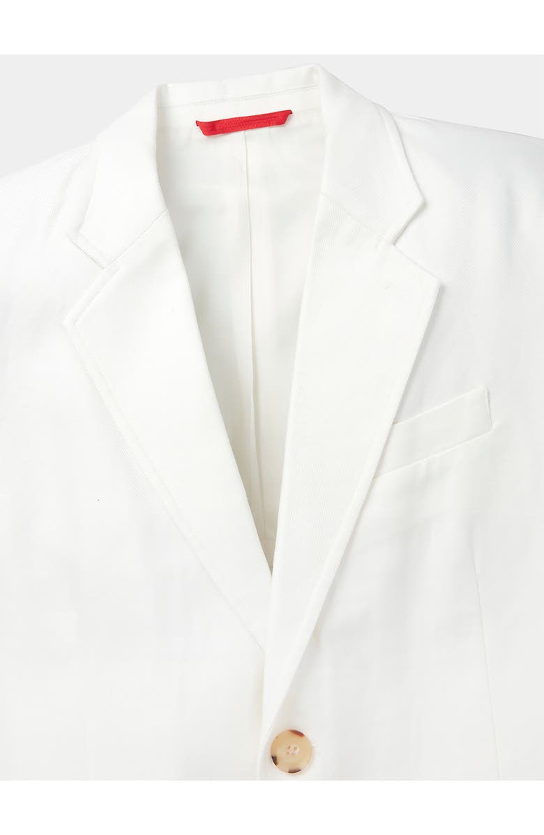 Aubin Axholme Tailored Linen Blend Blazer, Alternate, color, Vintage White