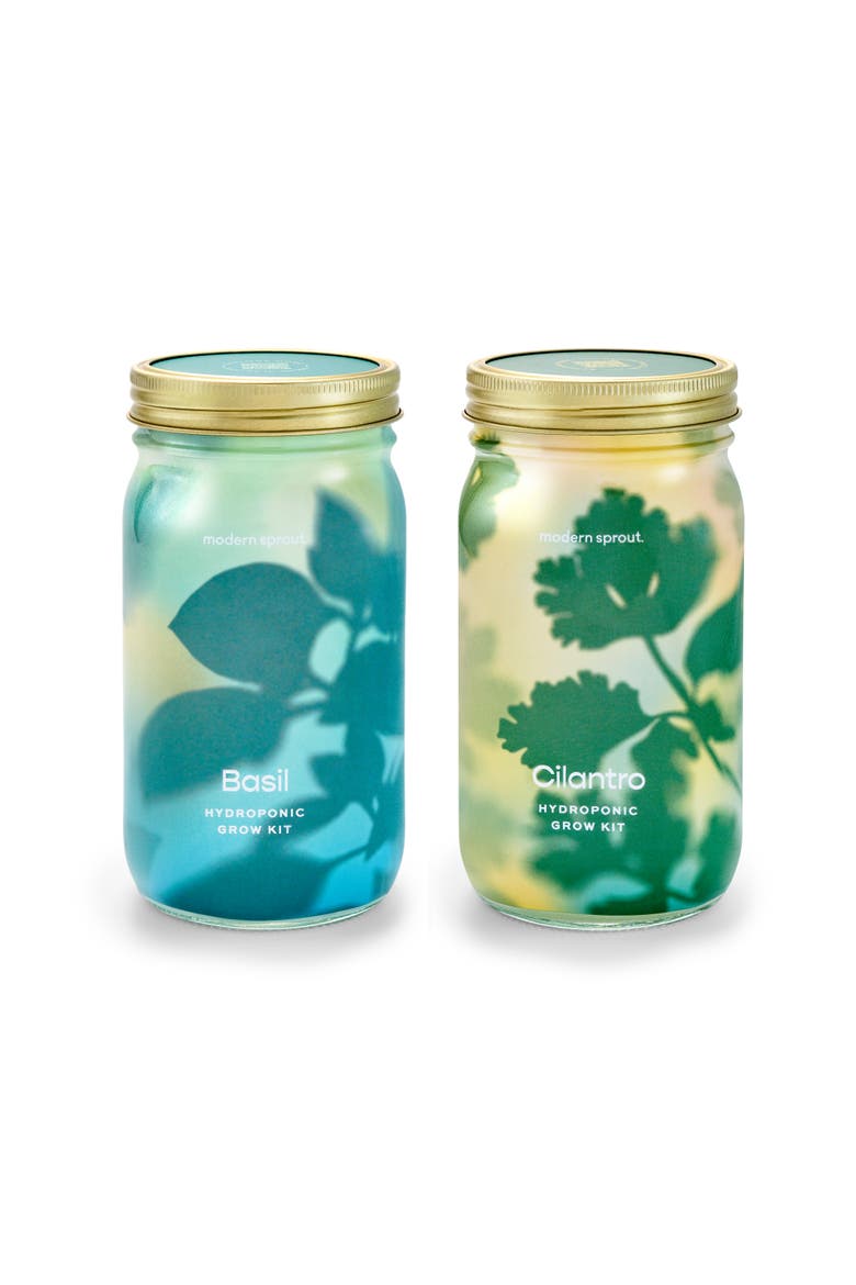 Garden Jar 2pk, Main, color, Basil + Cilantro