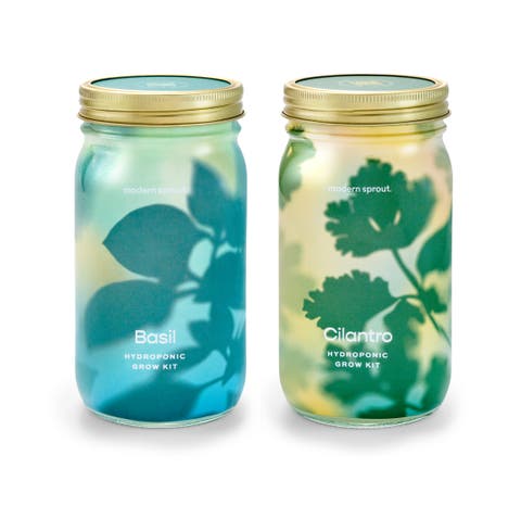 Garden Jar 2pk