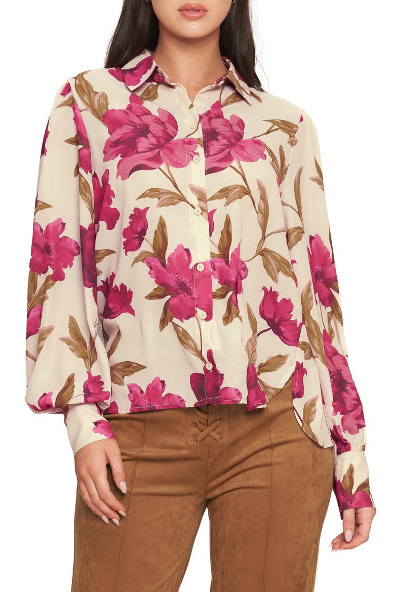 Button Front Long Sleeve Top, Main, color, TAUPE