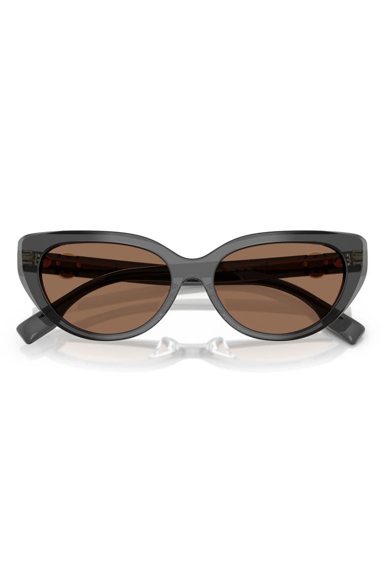 Tory Burch 55mm Cat Eye Sunglasses, Alternate, color, Black Brown