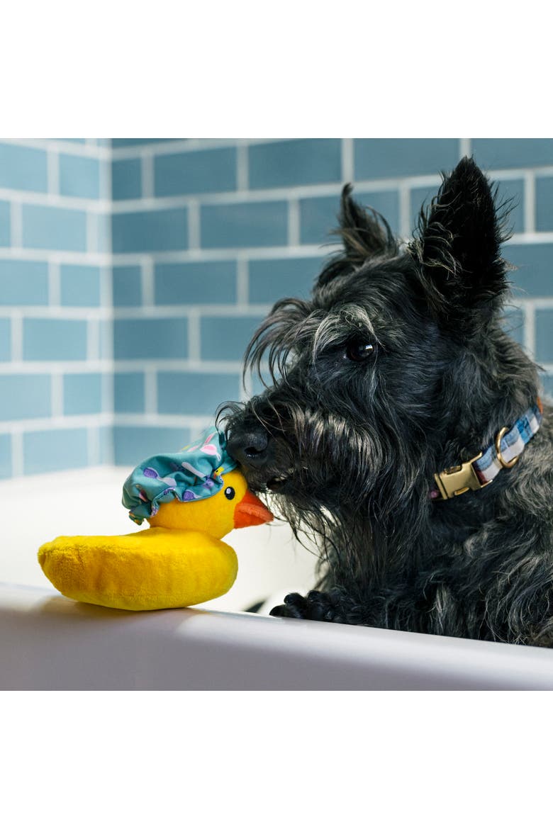 Splish Splash Bubbles The Duck, Plush Dog Toy, Squeaker & Crinkle Cap, Alternate, color, Multicolored