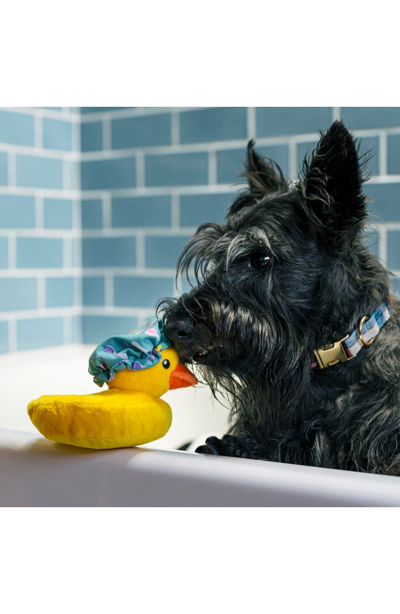 P.L.A.Y. Splish Splash Bubbles The Duck, Plush Dog Toy, Squeaker & Crinkle Cap, Alternate, color, Multicolored