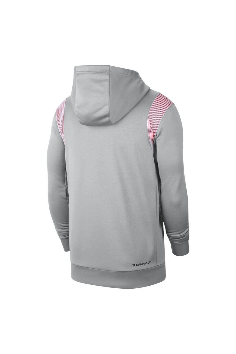 Men's Nike Gray Ohio State Buckeyes 2022 Game Day Sideline Performance Pullover Hoodie, Alternate, color, Gray