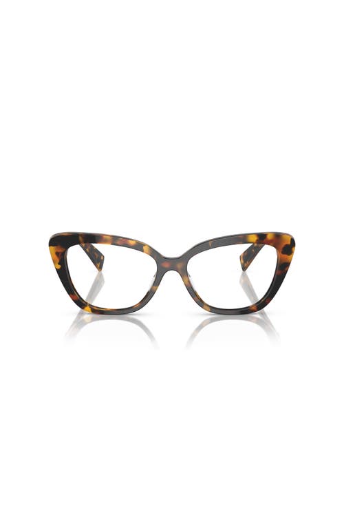 Miu Miu 55mm Cat Eye Optical Glasses In Brown