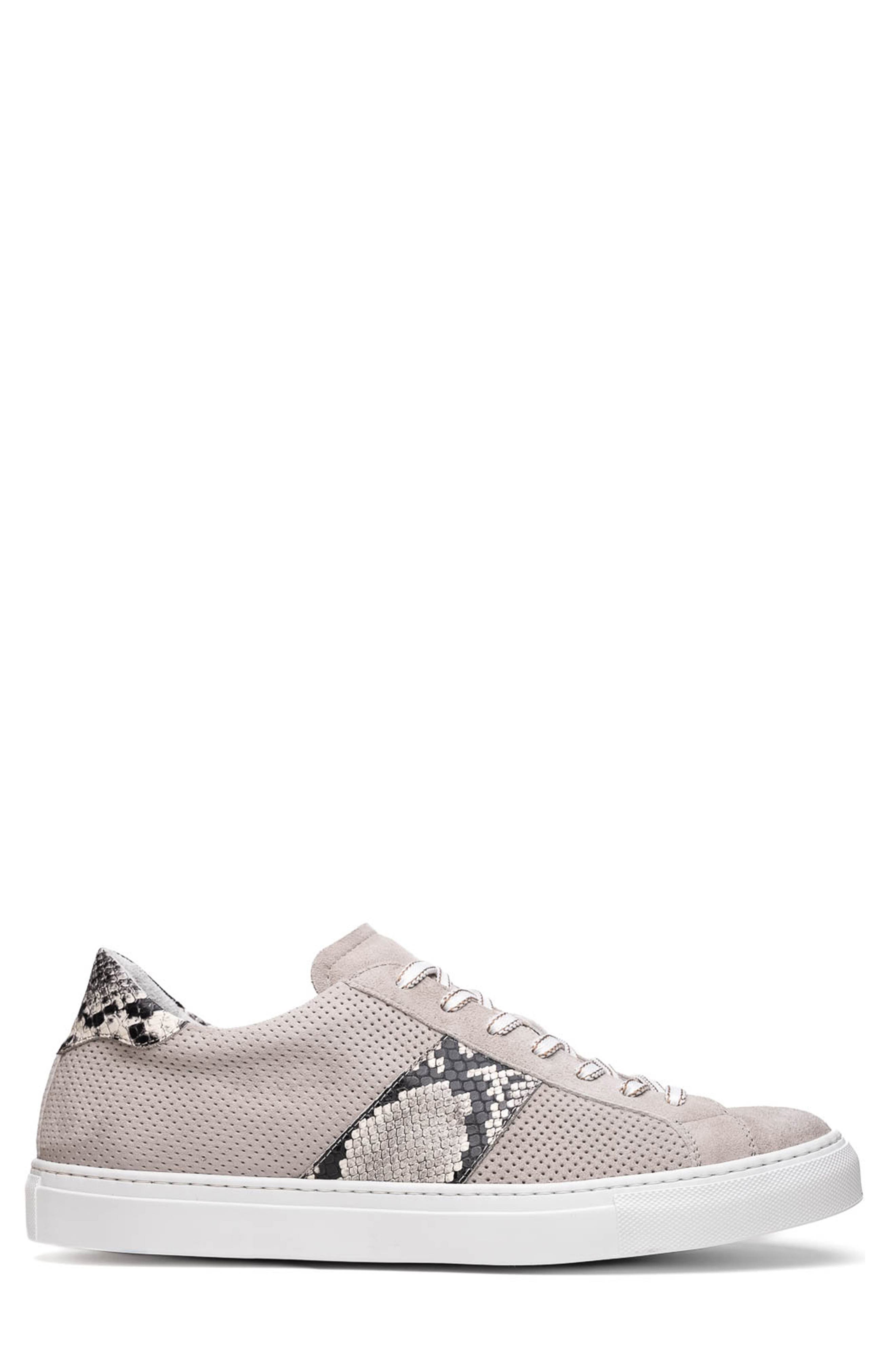 Zelli Italia Olympias Sneaker, Main, color, Grey