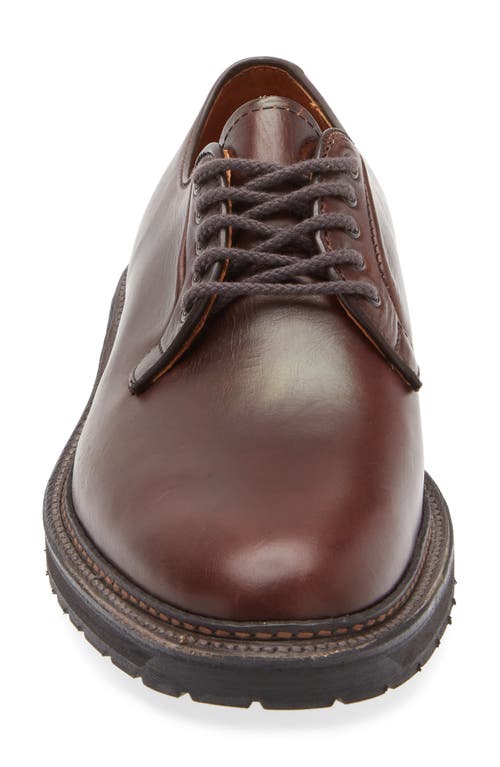 Alden Shoe Company Alden Plain Toe Blucher In Brown Aniline