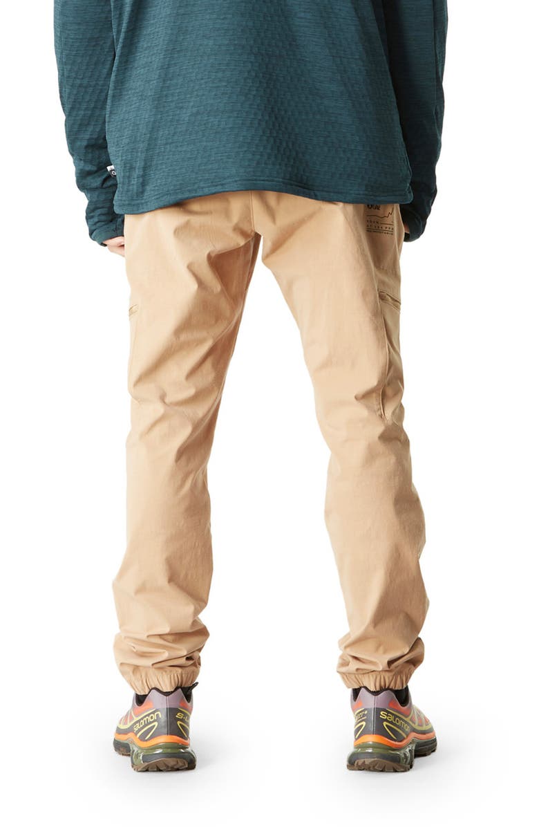 Picture Organic Clothing Alpho Explorer Pants, Alternate, color,