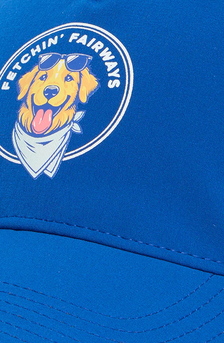 Swannies Gale Baseball Cap, Alternate, color, Blue