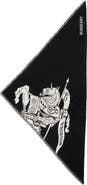 Burberry Mixed Media Scarf