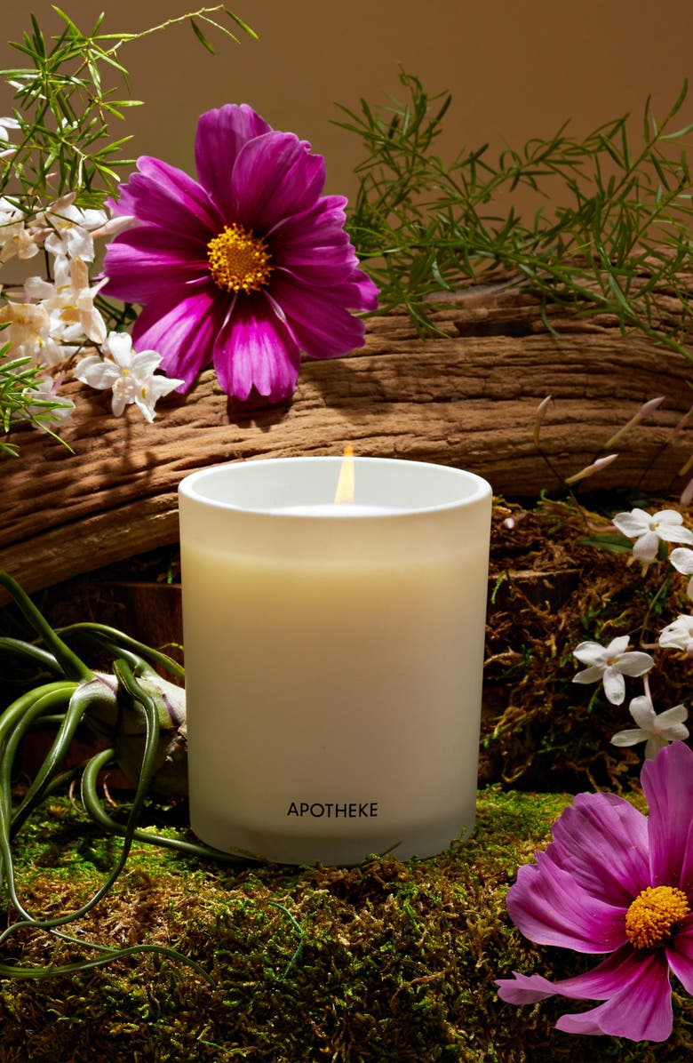 APOTHEKE Amber Woods Candle, Alternate, color, White