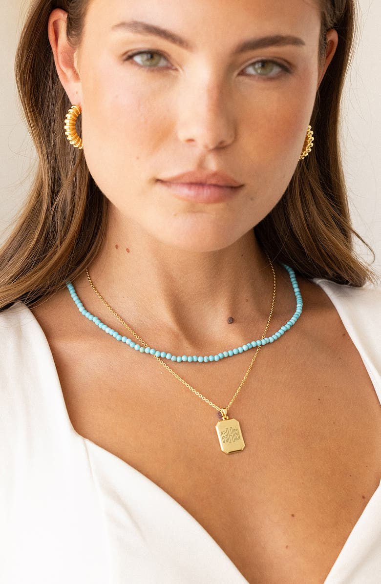 Brook and York Willow Turquoise Layering Set of 2 Necklaces, Alternate, color, 