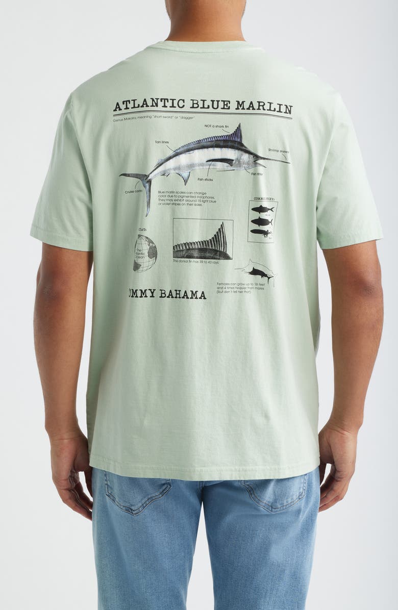 Tommy Bahama For your Finformation Cotton Graphic T-Shirt, Alternate, color, Silky Green